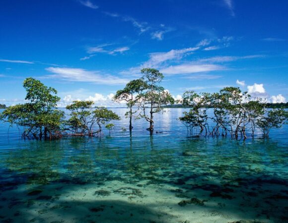 ANDAMAN ESCAPADES