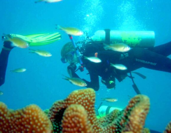TREASURES OF ANDAMAN
