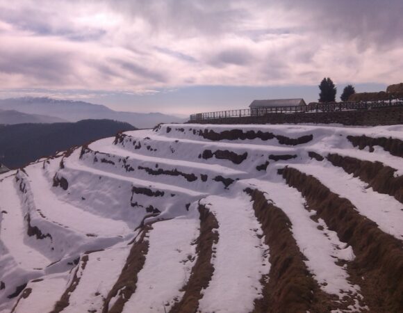 HIMACHAL DELIGHT