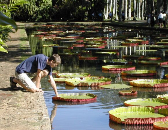 MAURITIUS