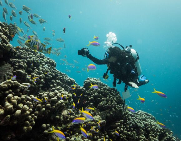 MALDIVES