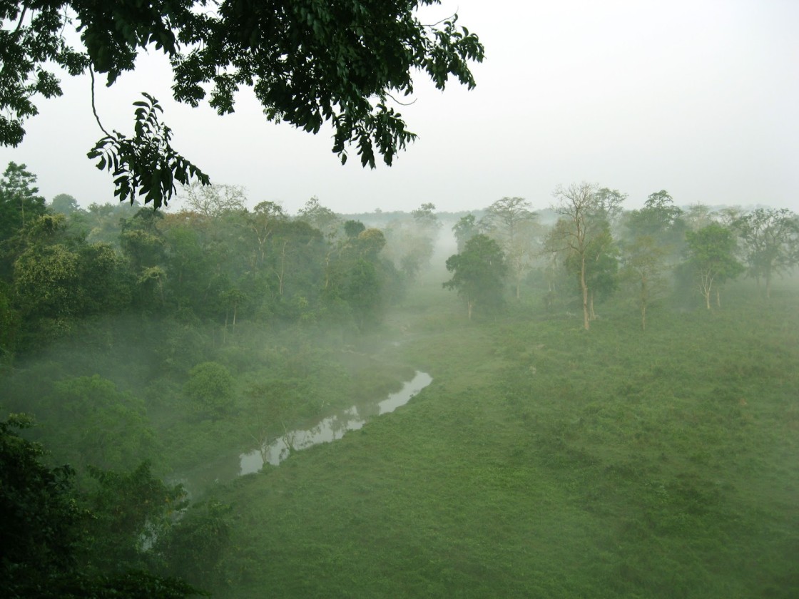 GREEN DOOARS