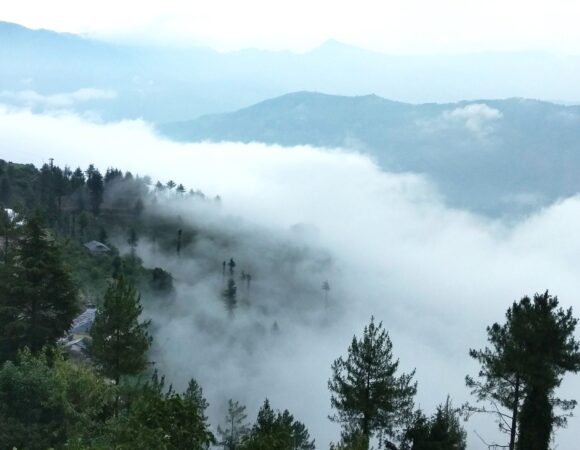 KINNAUR TOUR