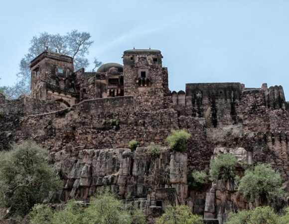 RANTHAMBHORE, JAIPUR