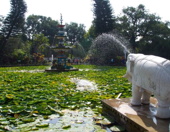 JAIPUR, JODHPUR, UDAIPUR, MOUNT ABU