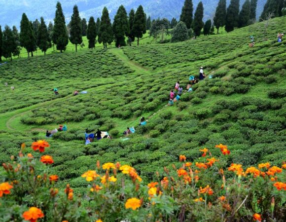 ANMOL HIMALAYA