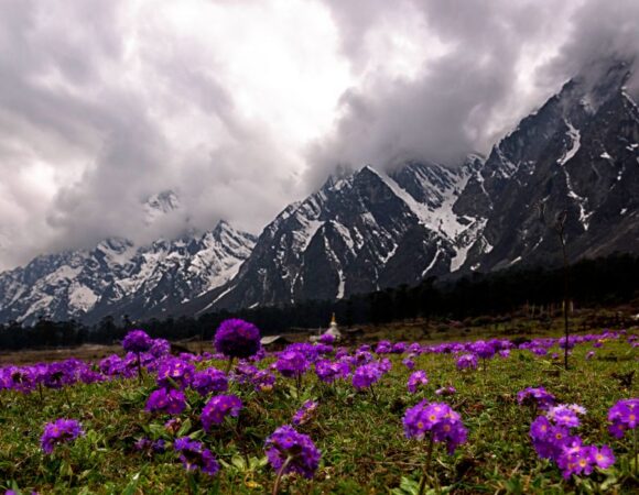 TREASURES OF SIKKIM